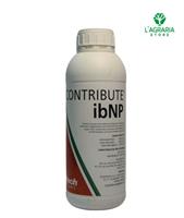 ibNP CONTRIBUTE 1L