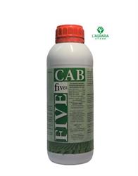 FIVE CAB 1Kg (N 8%+Ca 12%+B 0.5%) Caclcio, Boro e Acidi Organici
