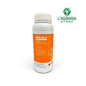 EFFIK ONE 1L Nanopartic.colloidali (Cu,Zn,Mn) BIO DVA