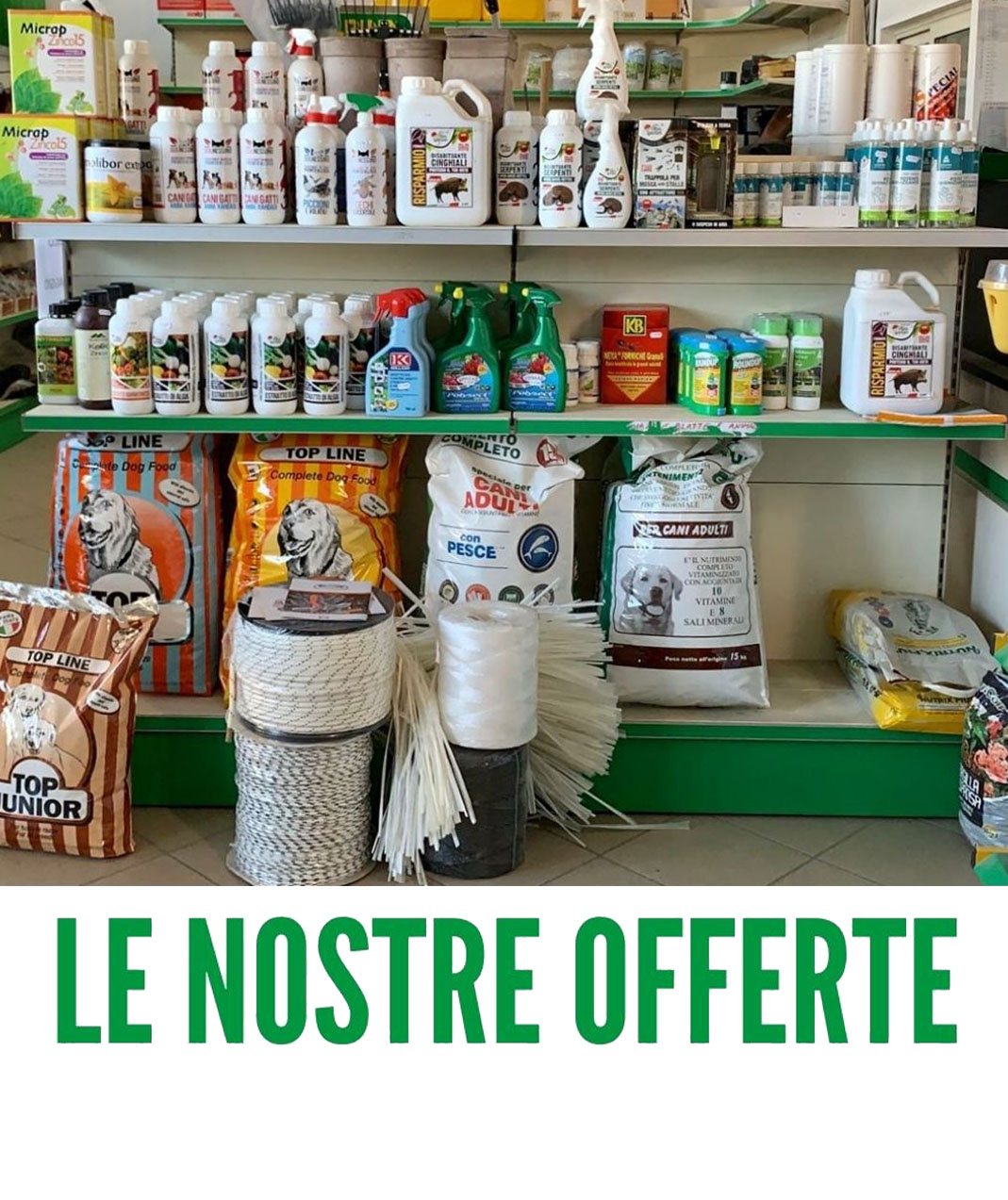 4-offerte